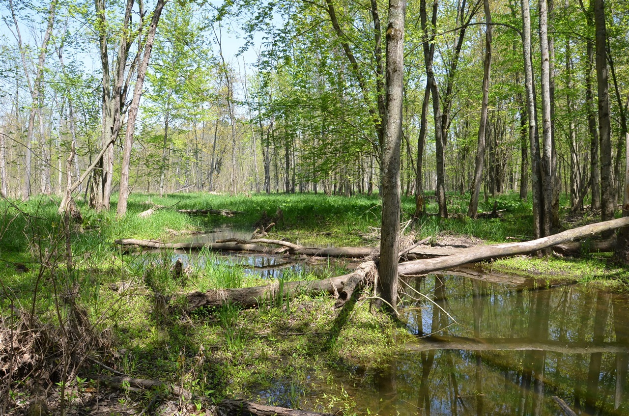 main property photo 69