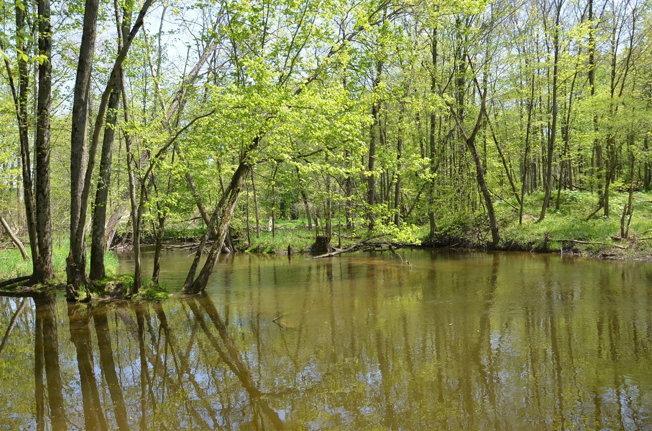 main property photo 71