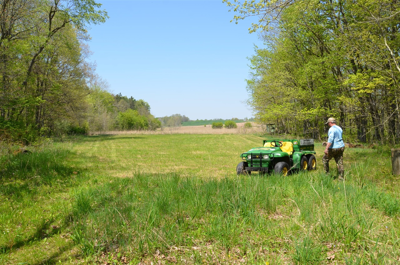 main property photo 72