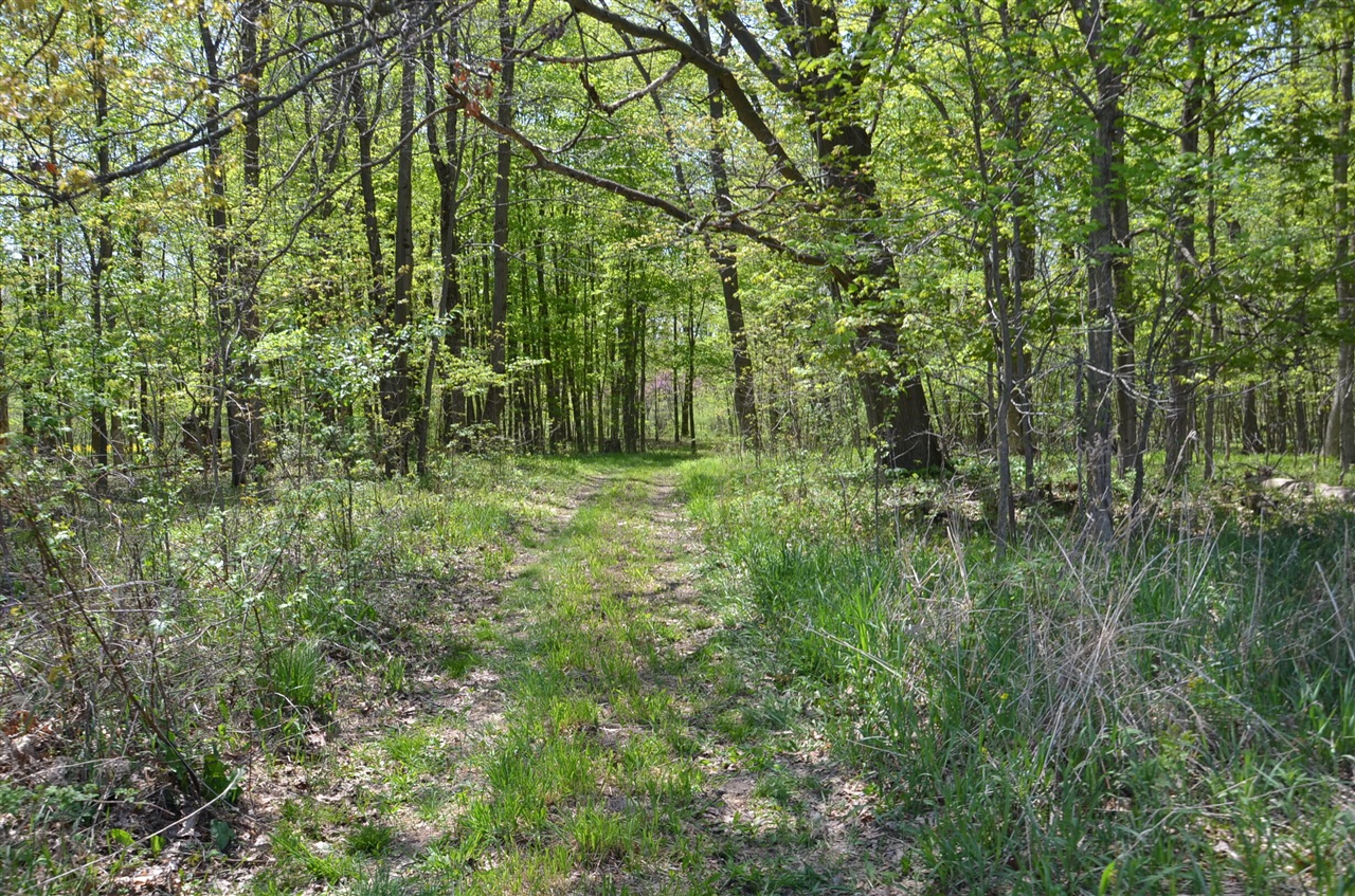 main property photo 74