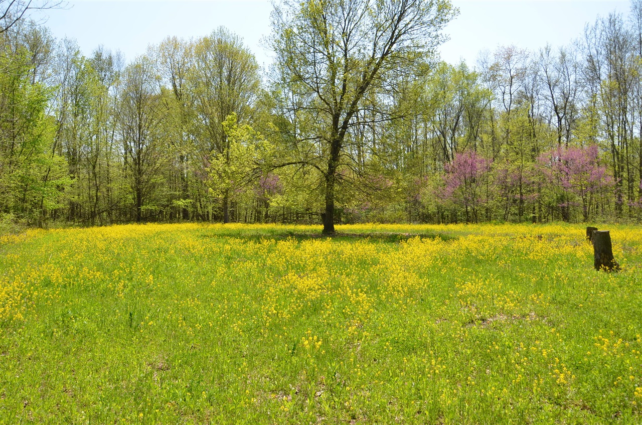 main property photo 75