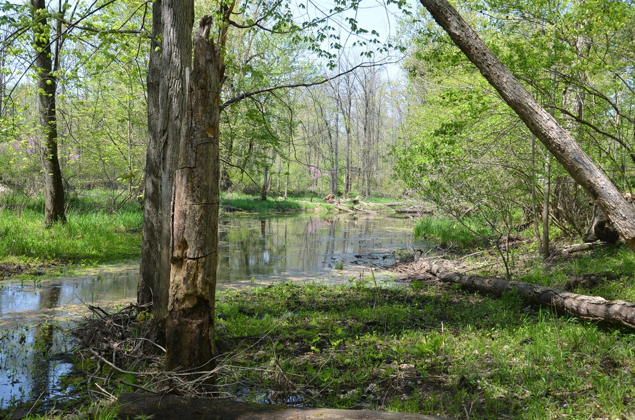 main property photo 76