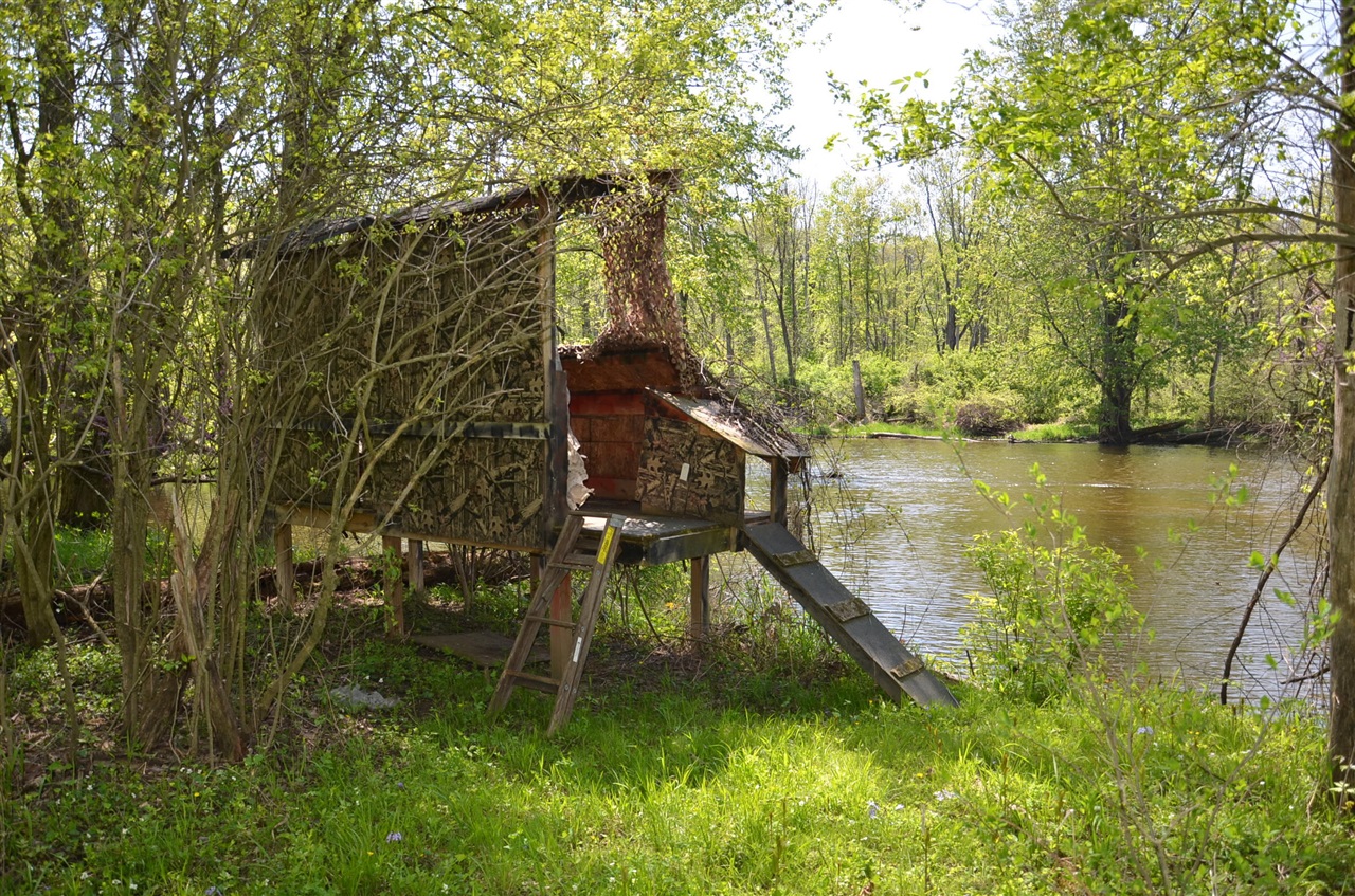 main property photo 78