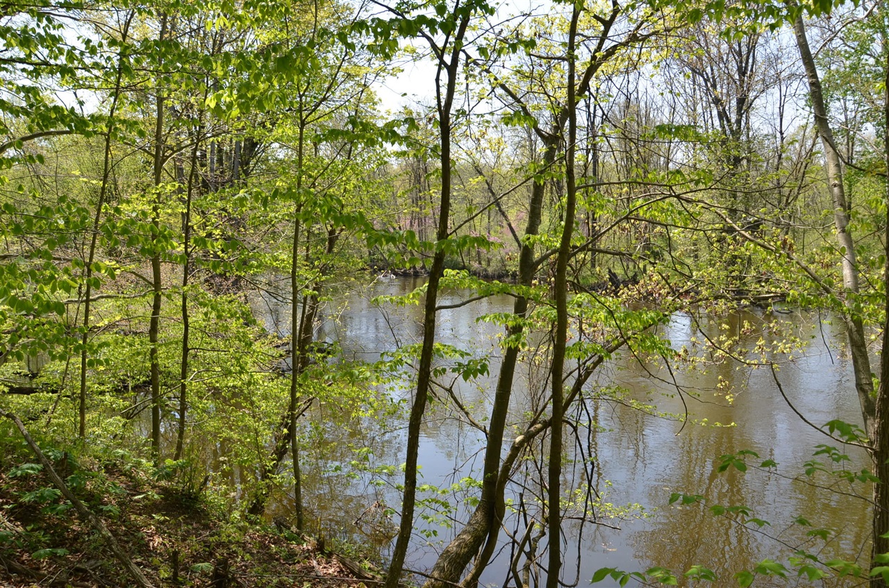 main property photo 82