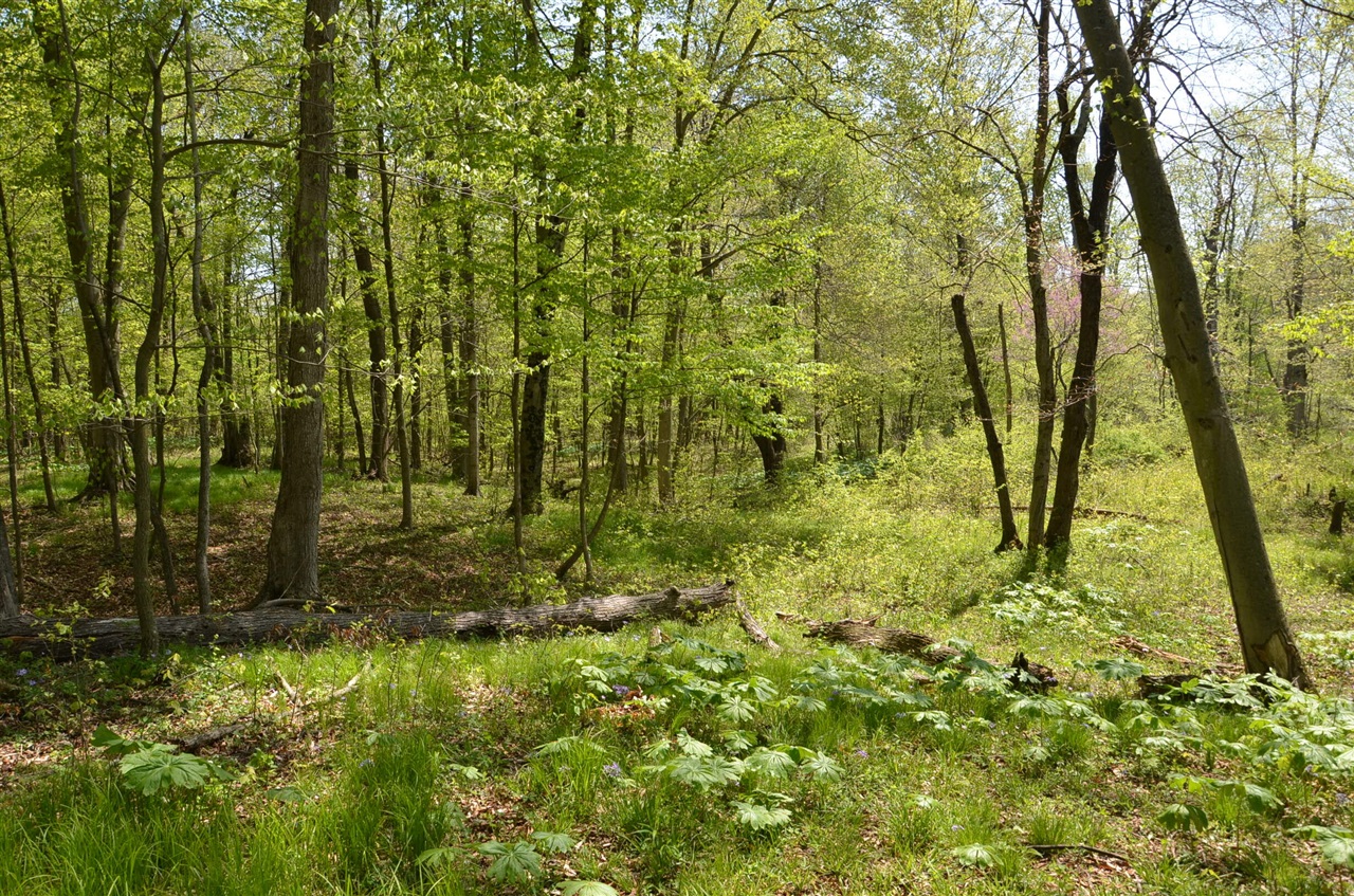 main property photo 83