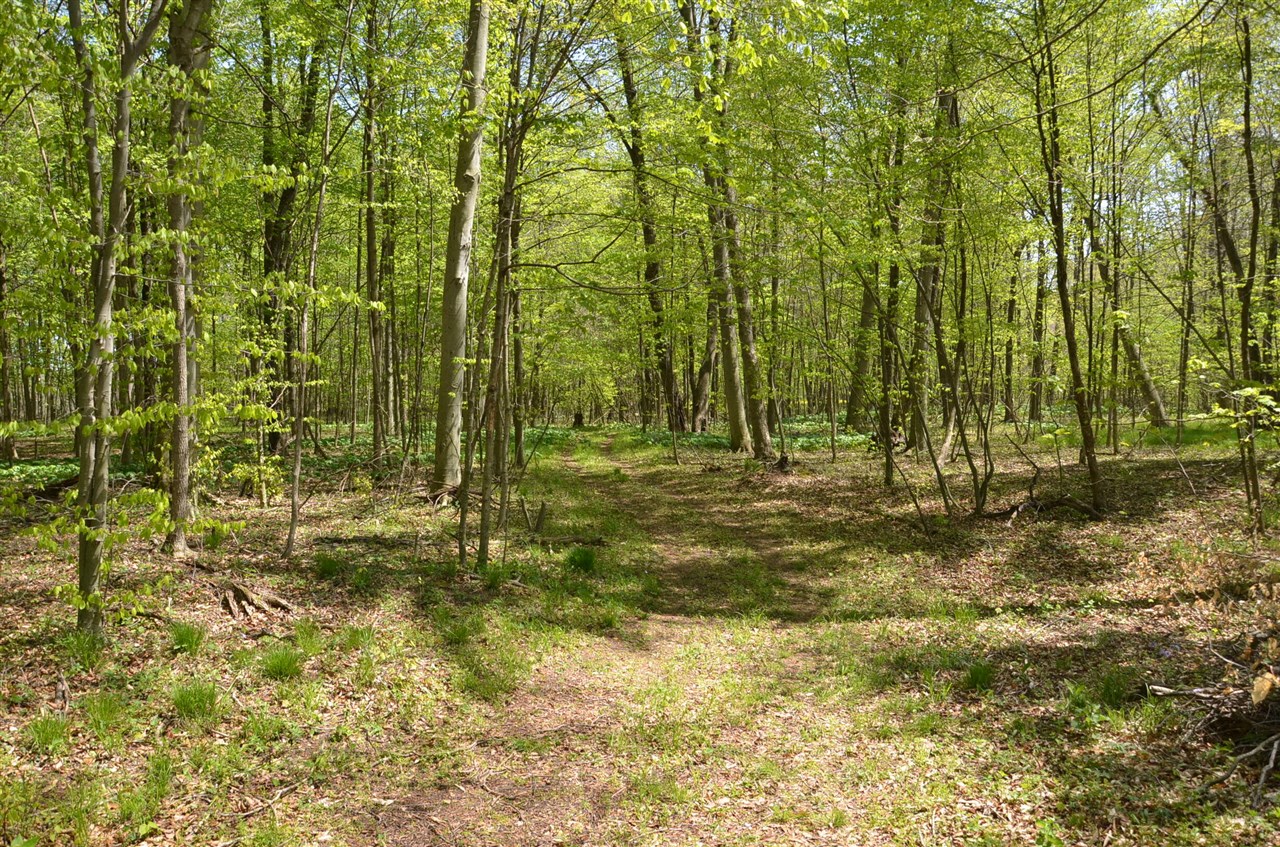main property photo 84