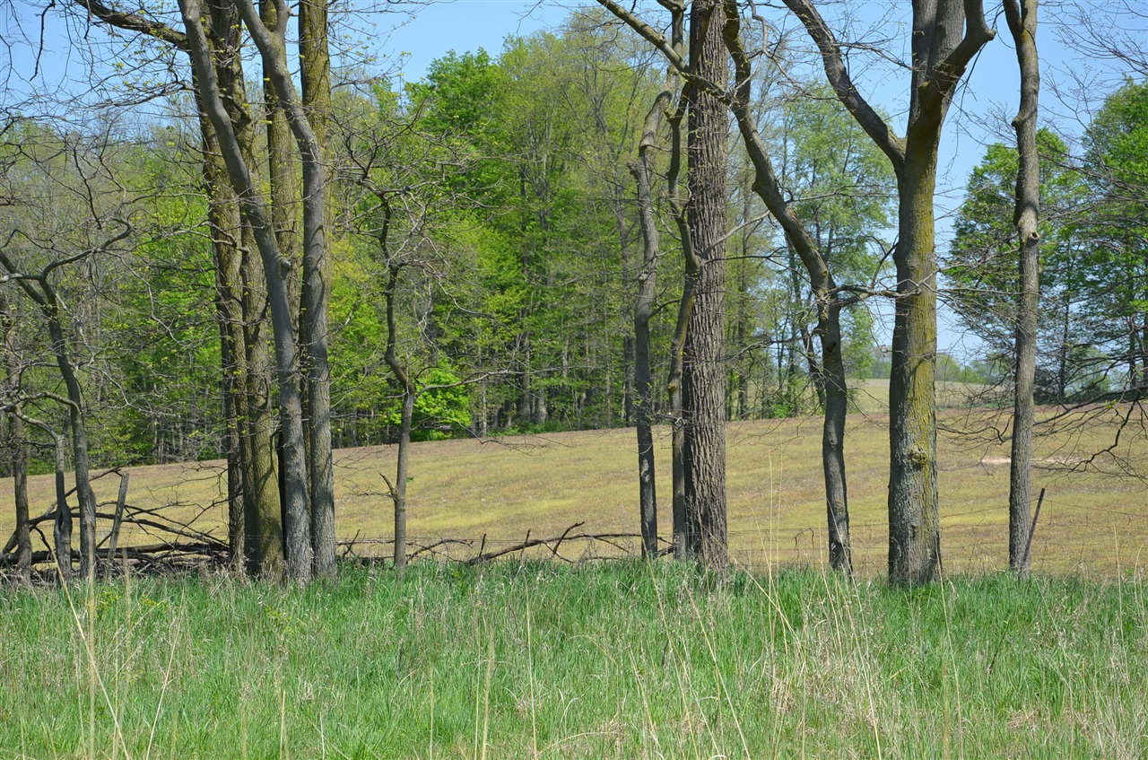 main property photo 87
