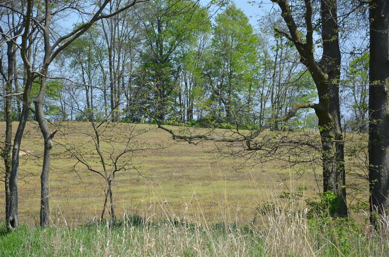 main property photo 88