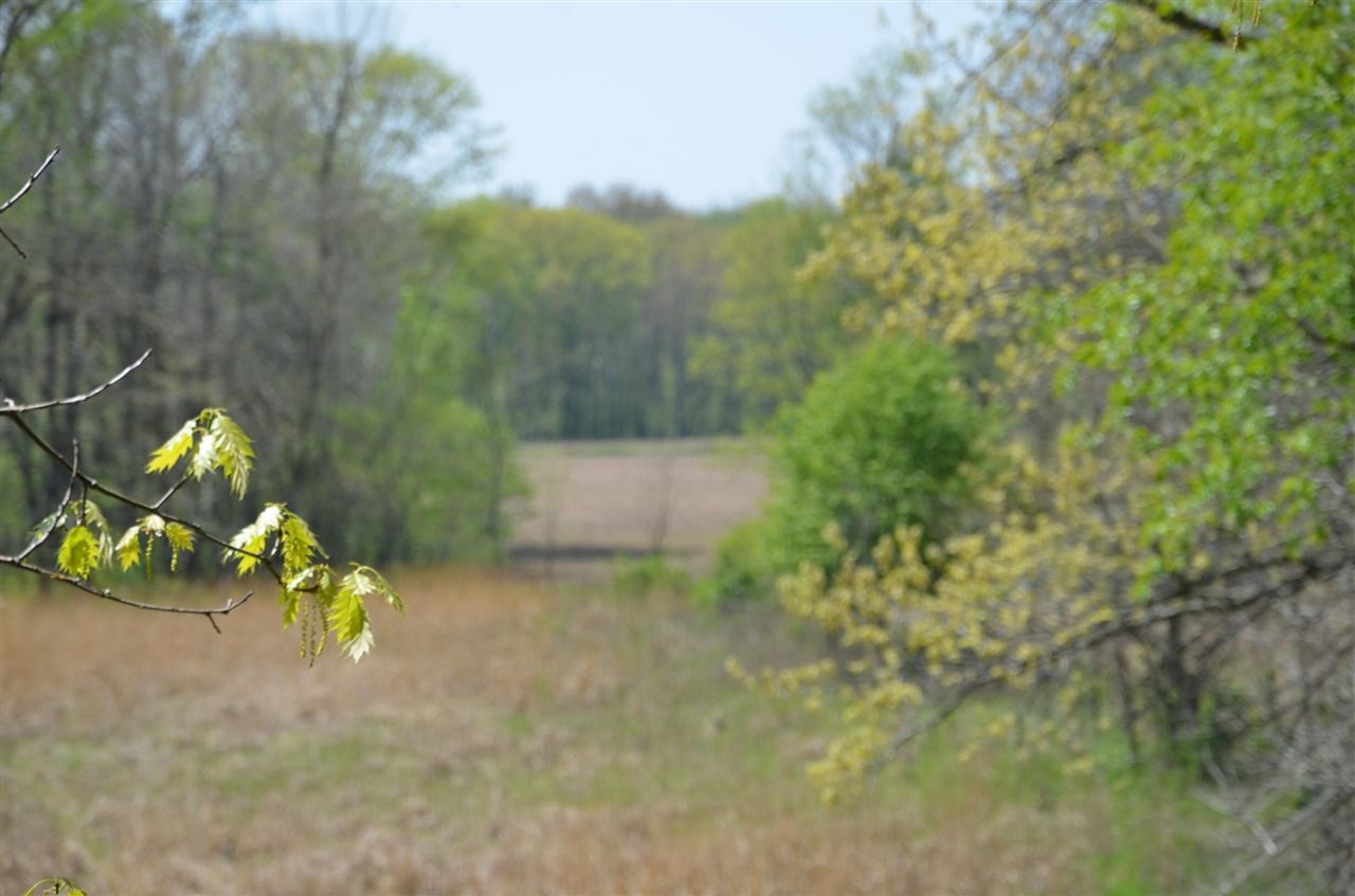 main property photo 89
