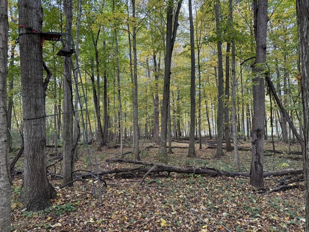 main property photo 91