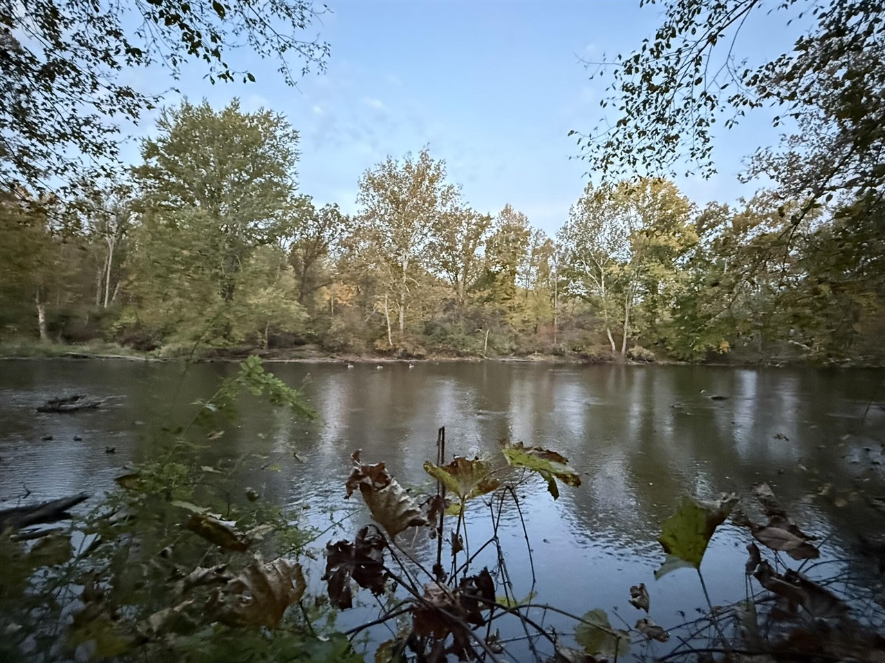 main property photo 94