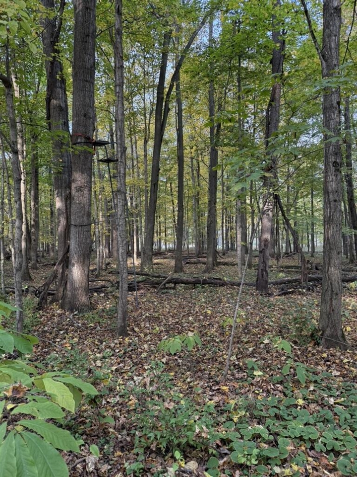 main property photo 95
