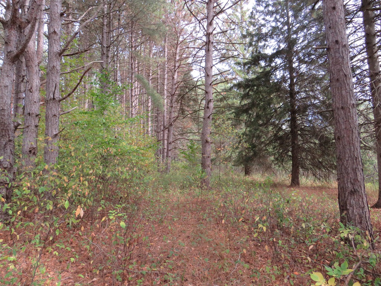 main property photo 17