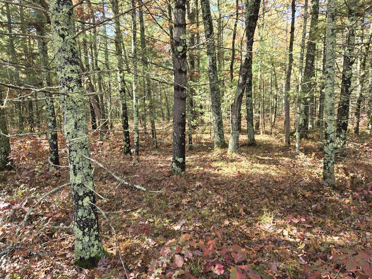 main property photo 0