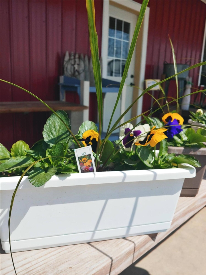main property photo 58