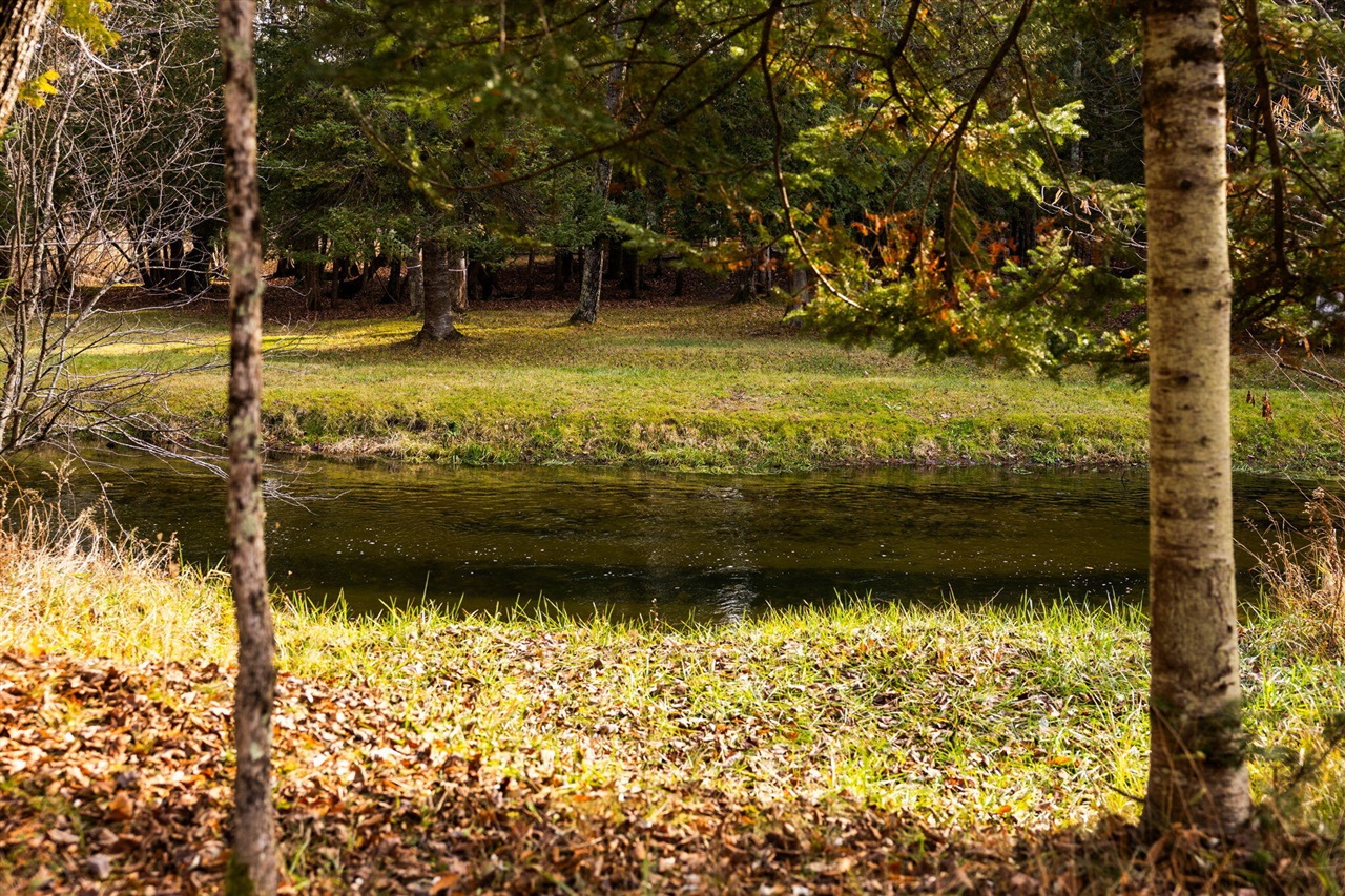 main property photo 53