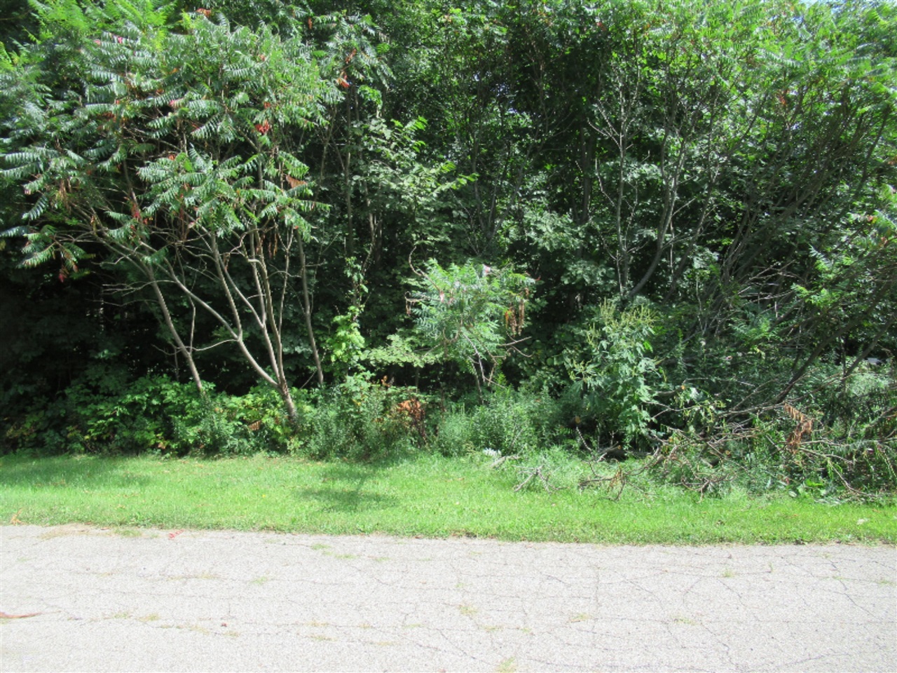main property photo 0