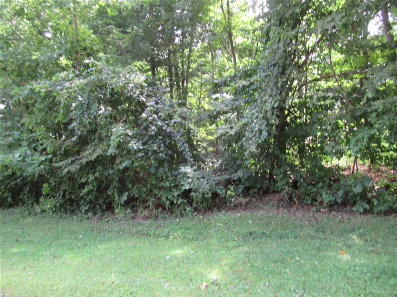 main property photo 0