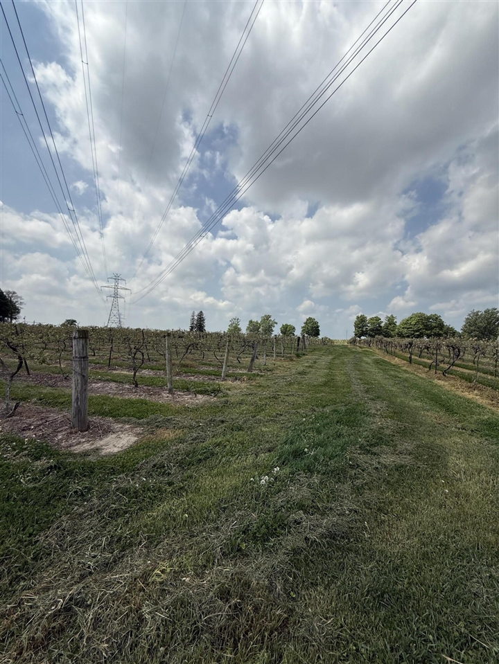main property photo 11