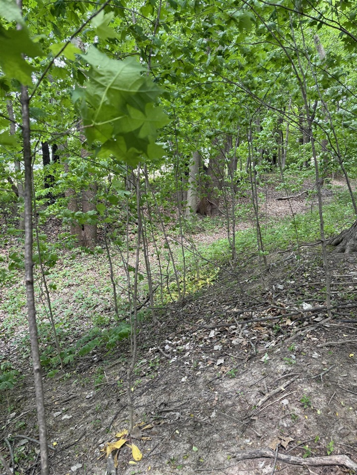 main property photo 18