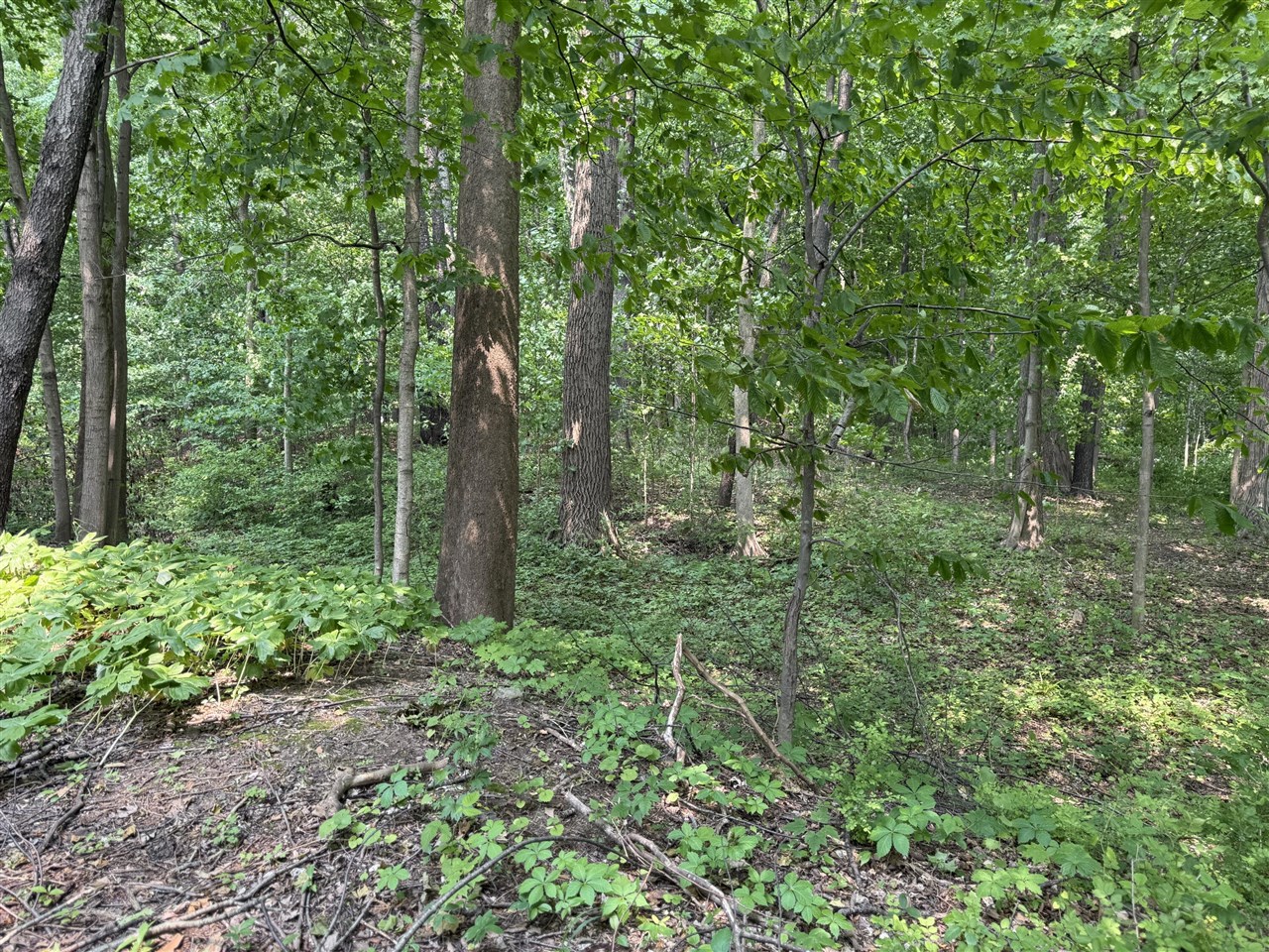 main property photo 35