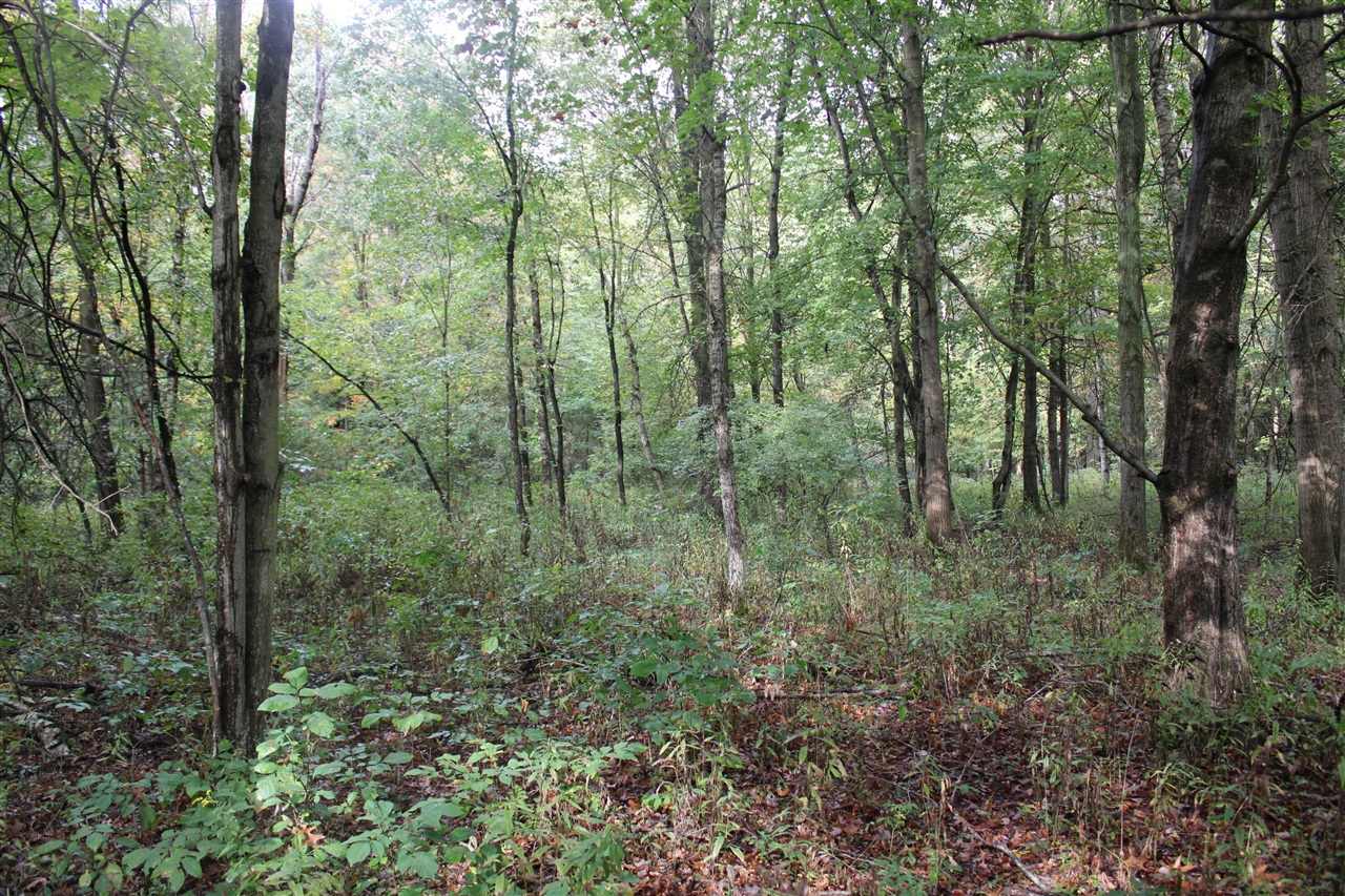 main property photo 31