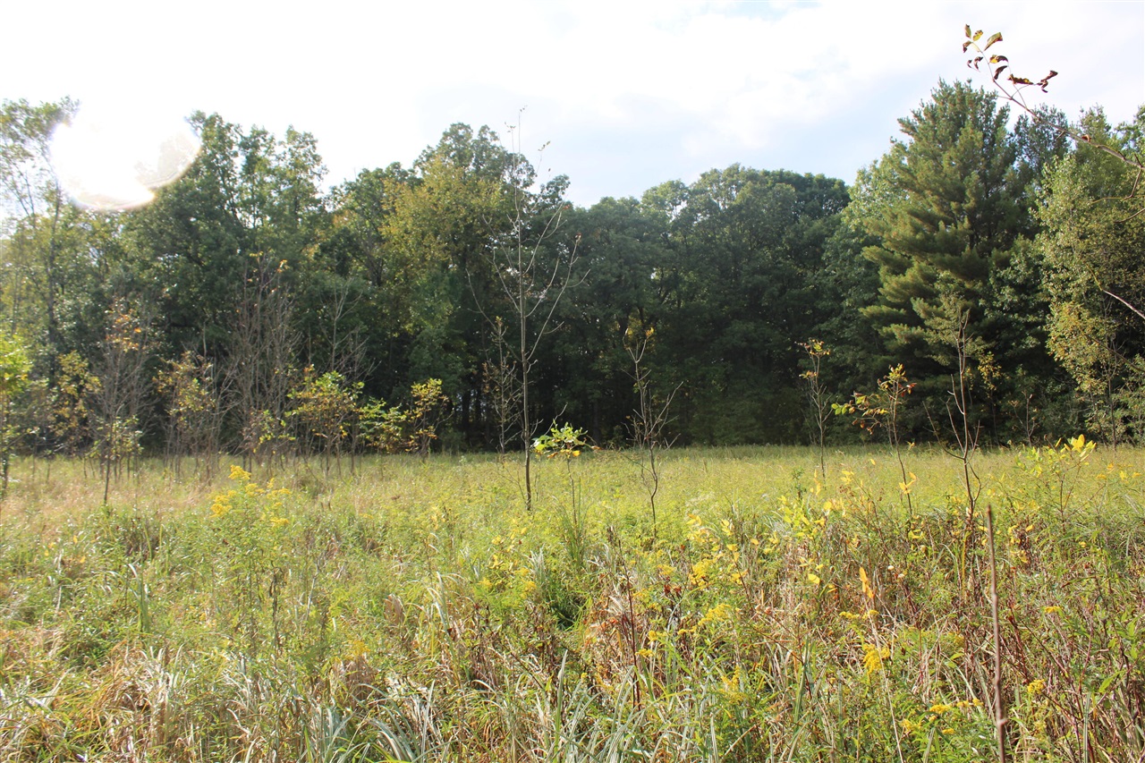 main property photo 39