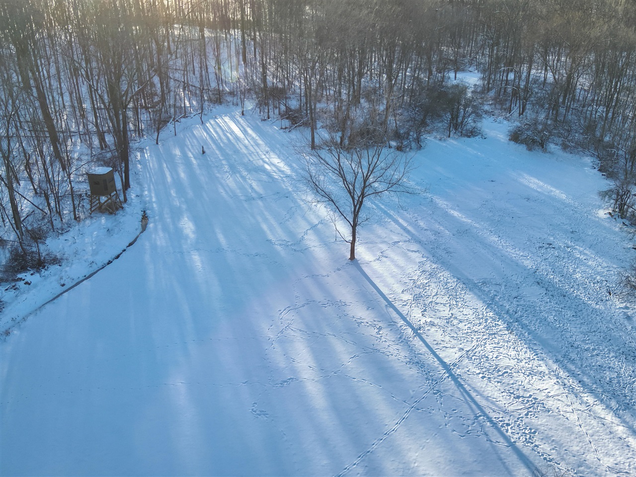 main property photo 12