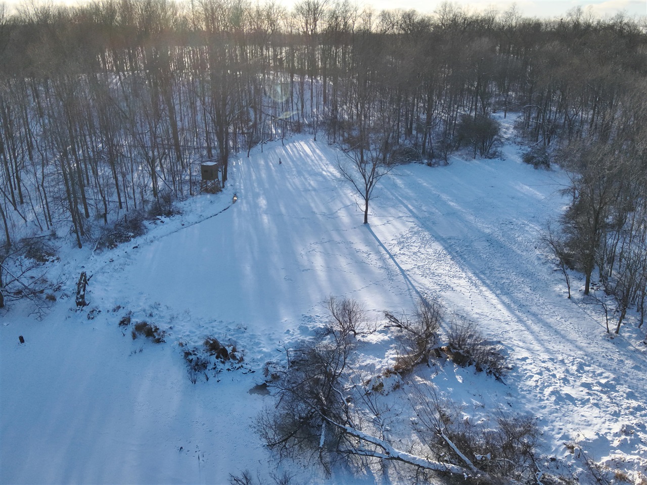 main property photo 13