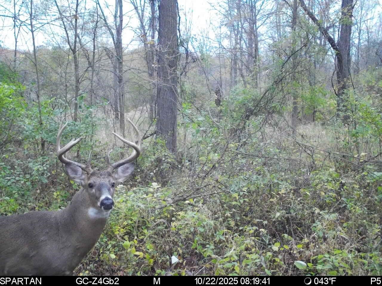 main property photo 8