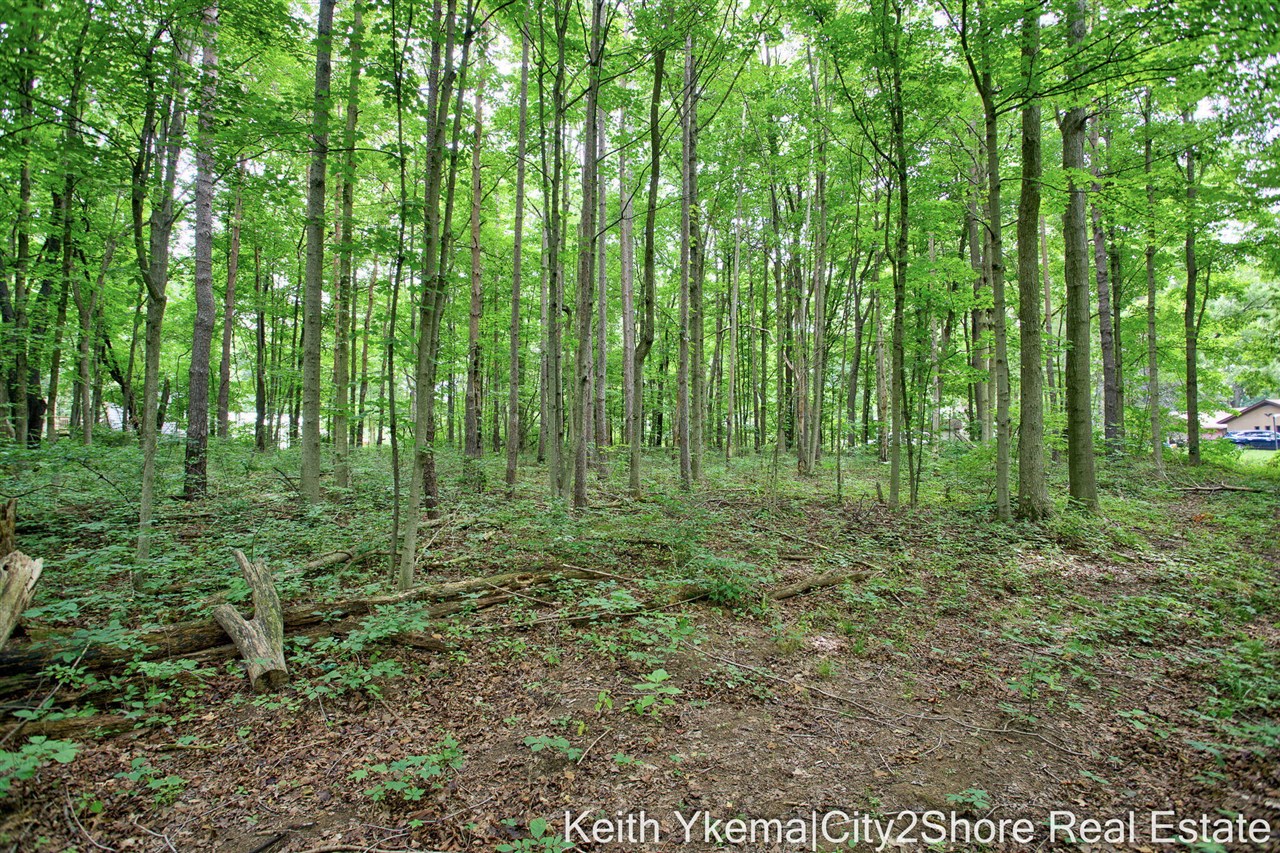 main property photo 10