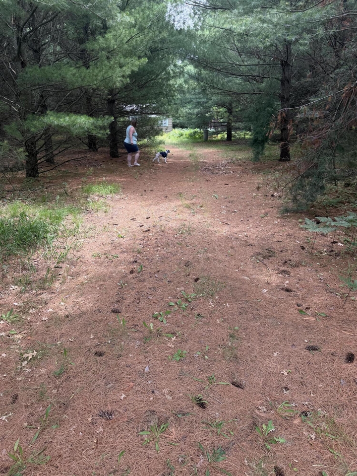 main property photo 21