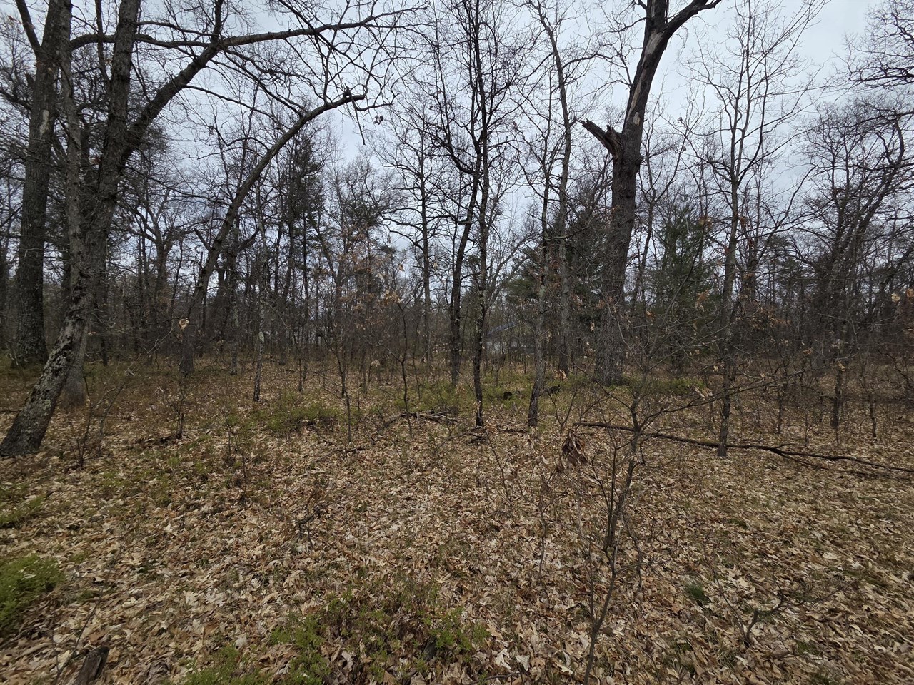 main property photo 0