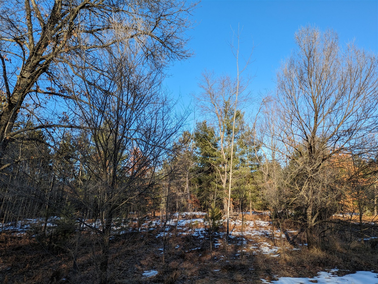 main property photo 0