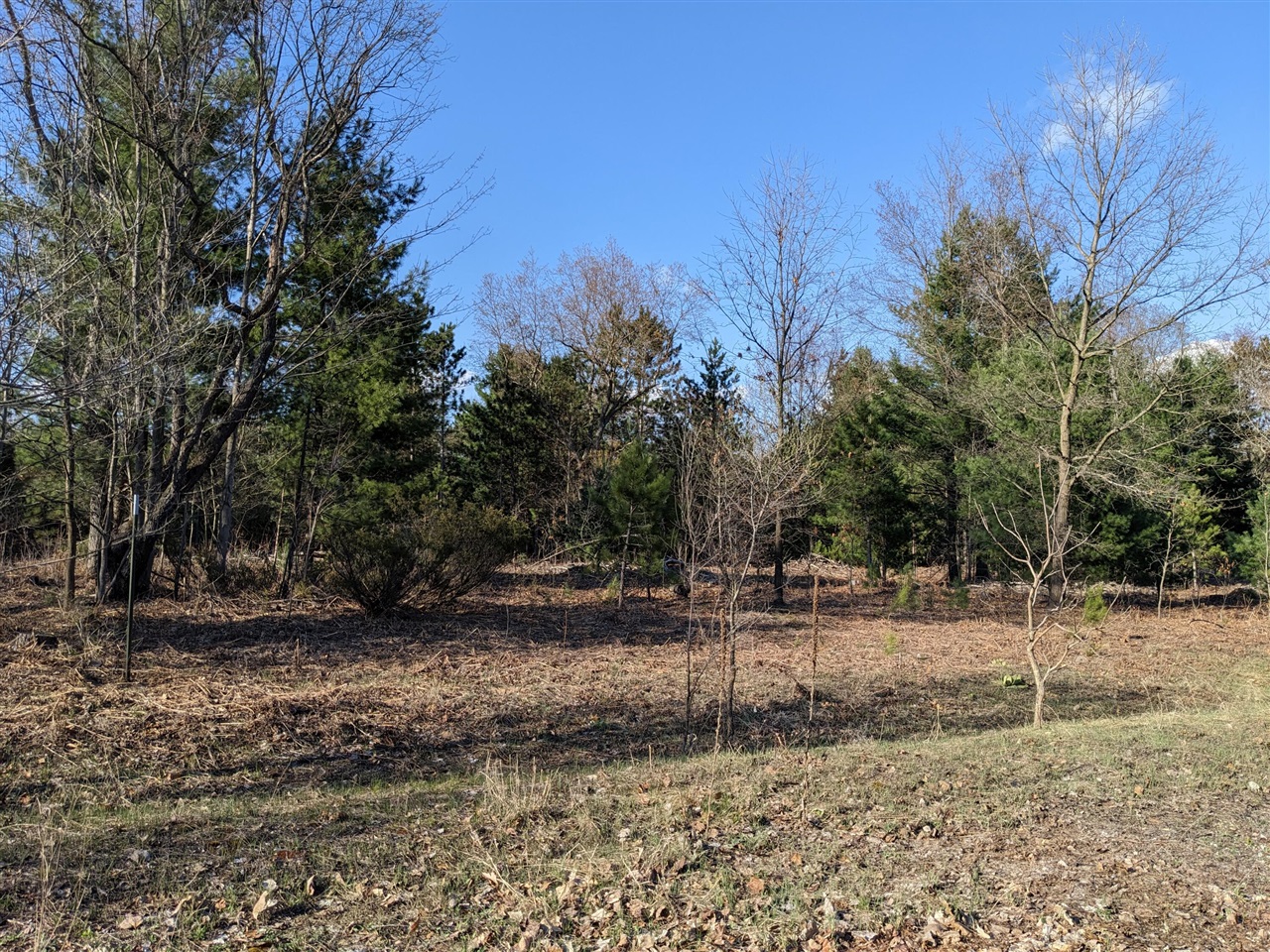 main property photo 0