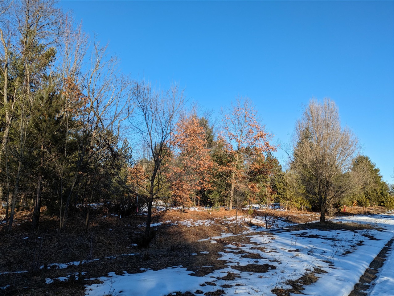 main property photo 0