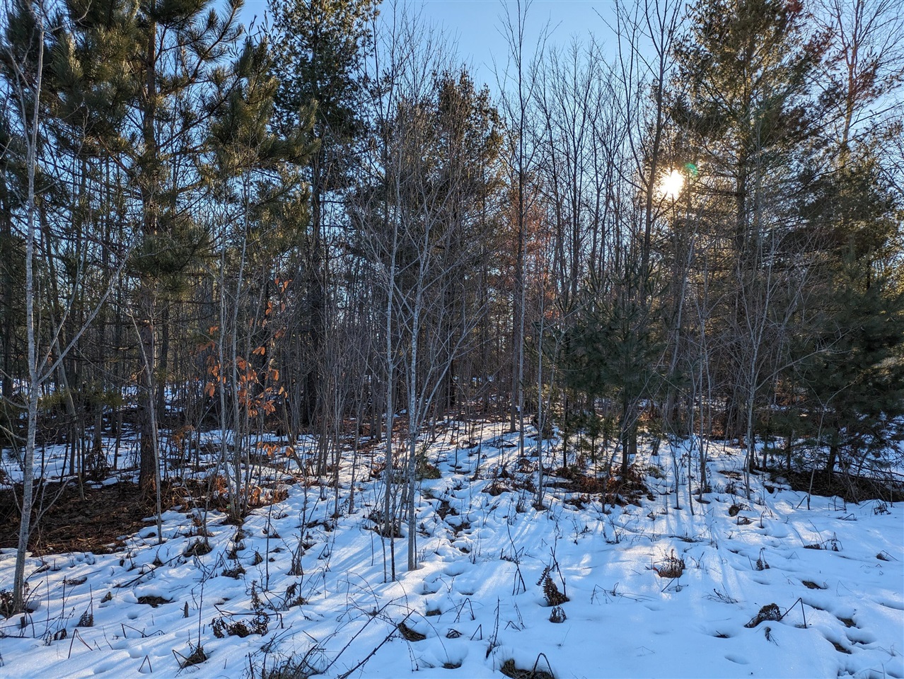 main property photo 0