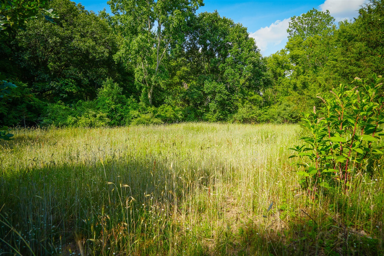main property photo 56