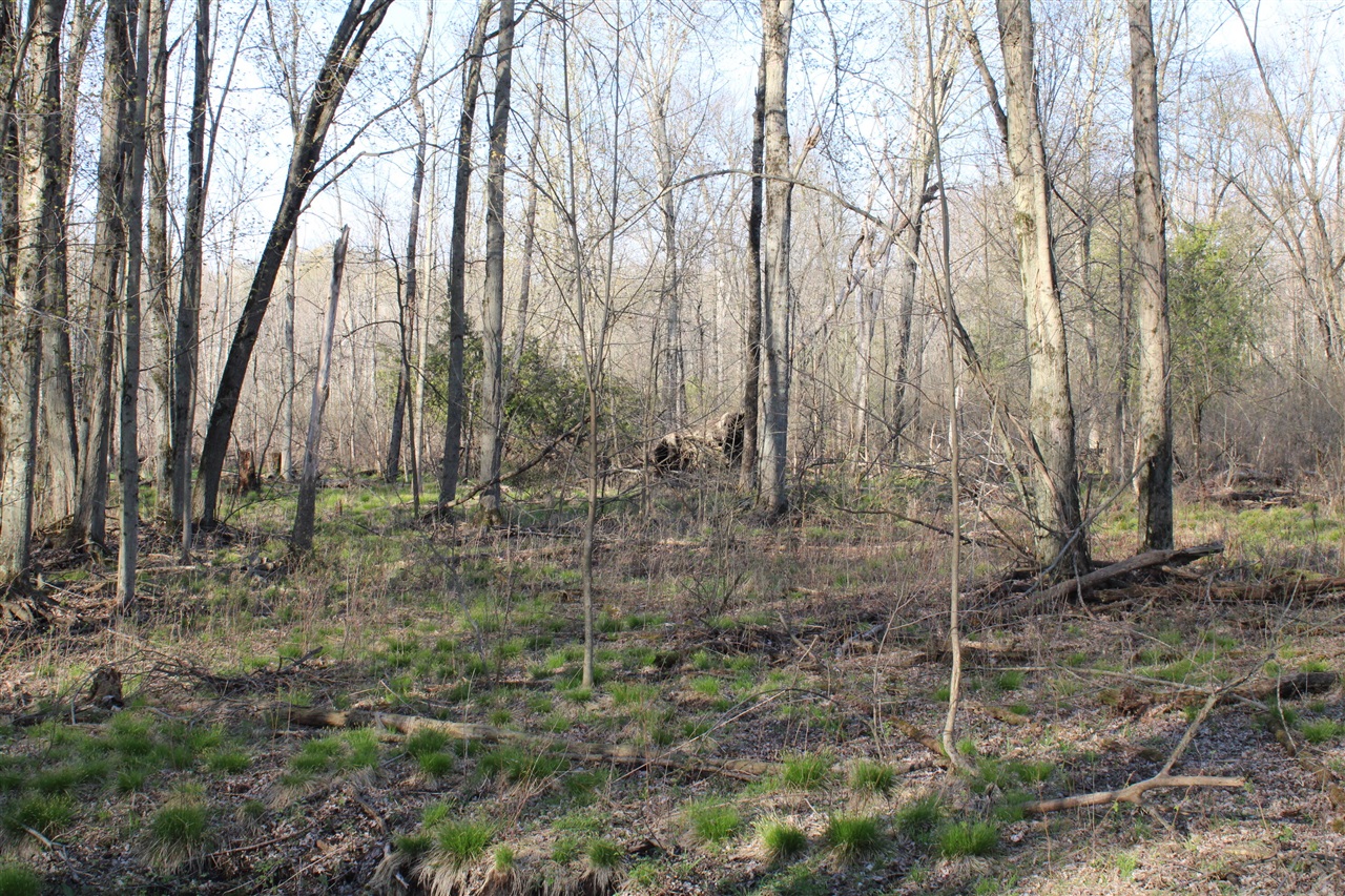 main property photo 49