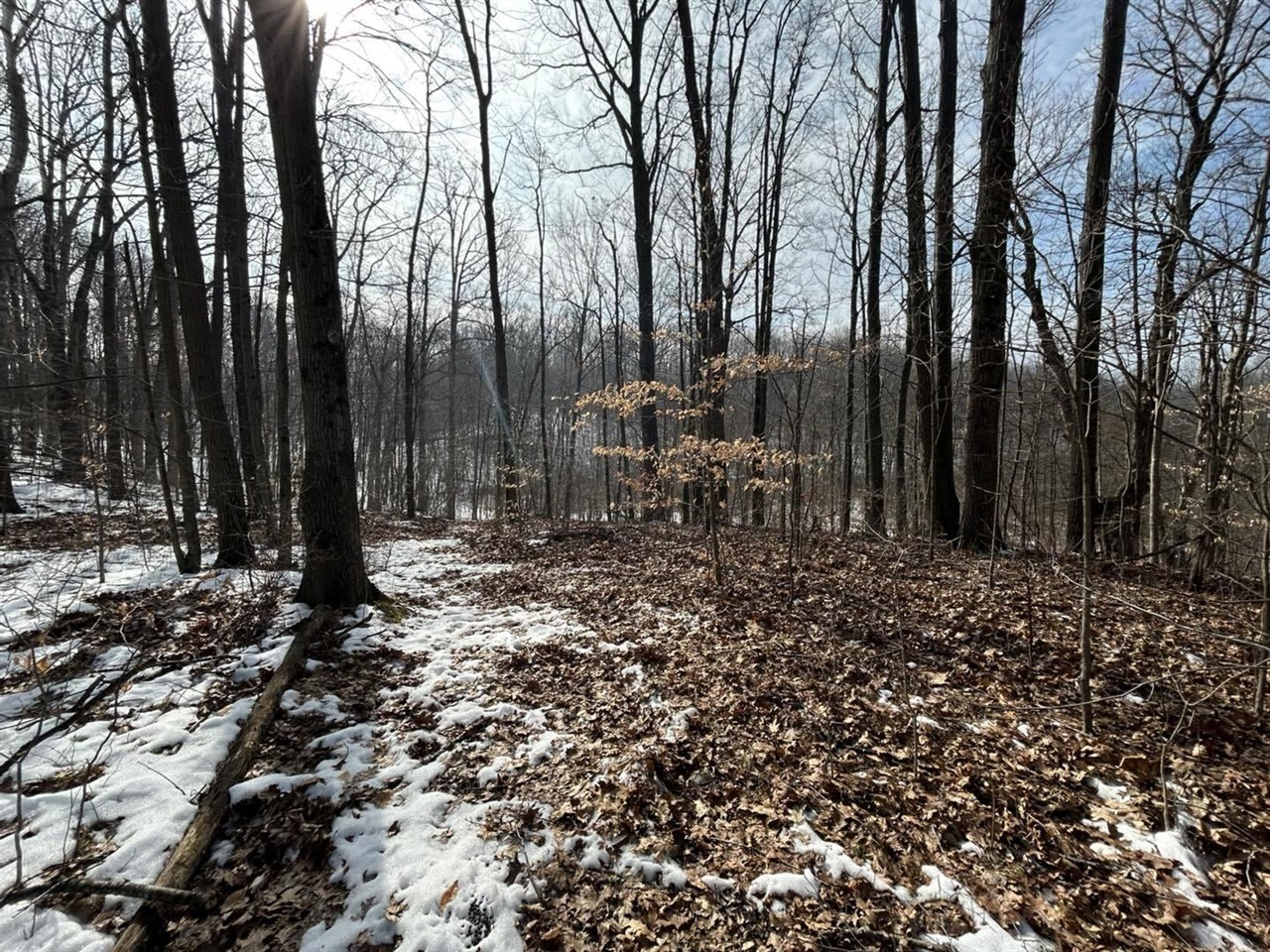 main property photo 8