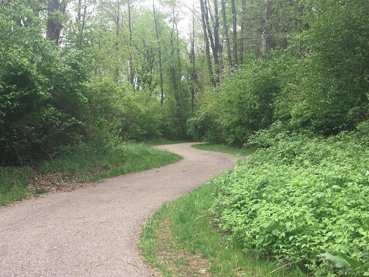 main property photo 44