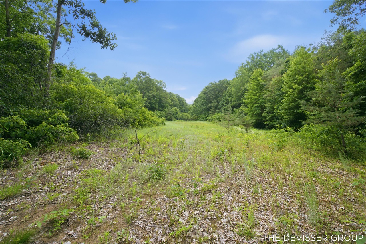 main property photo 10
