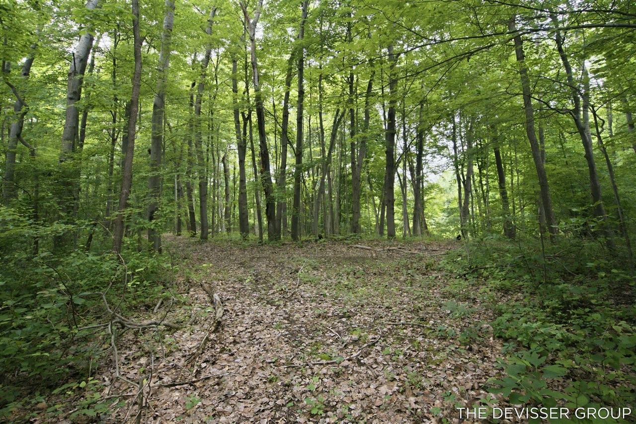 main property photo 9