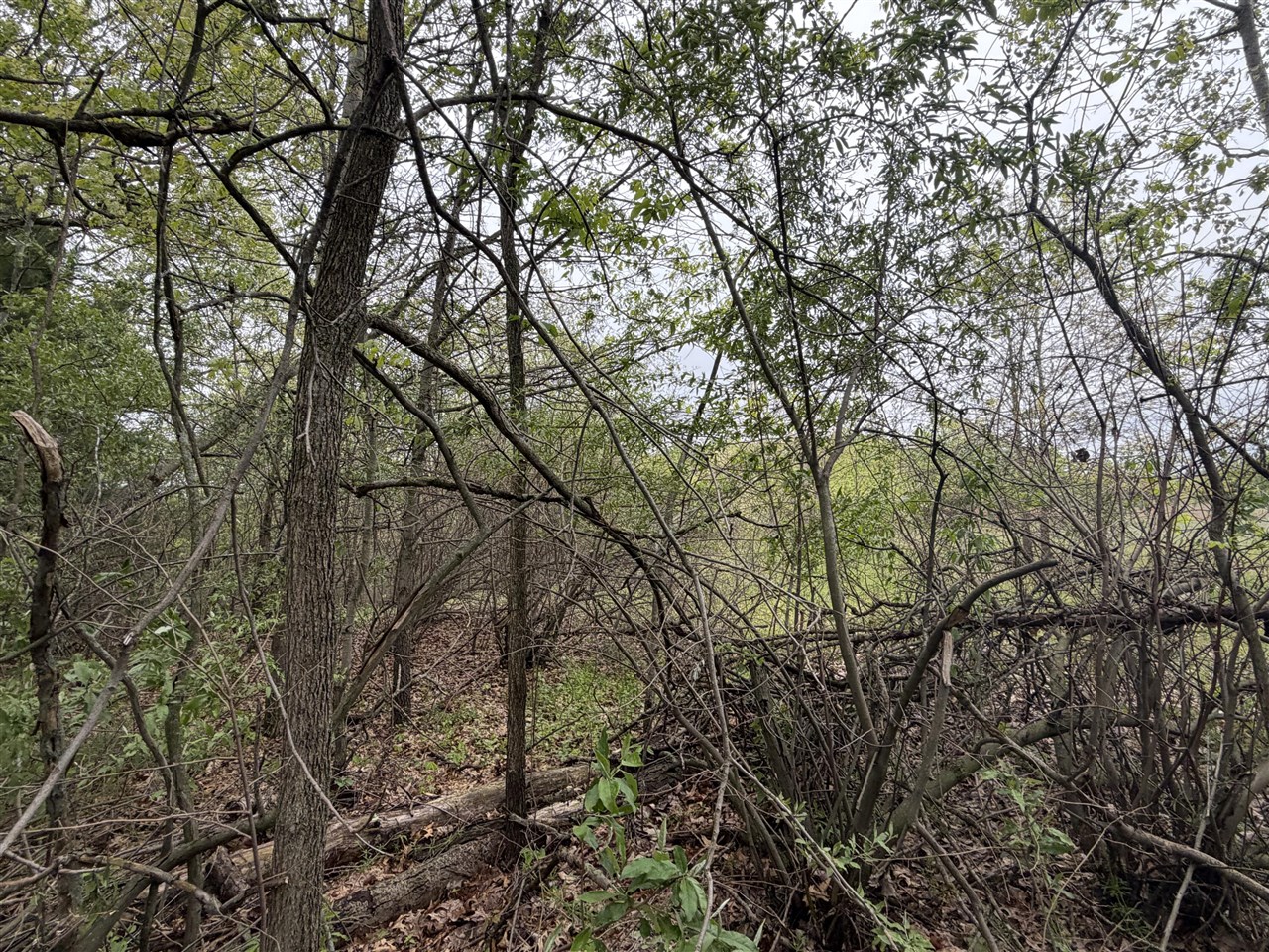 main property photo 11