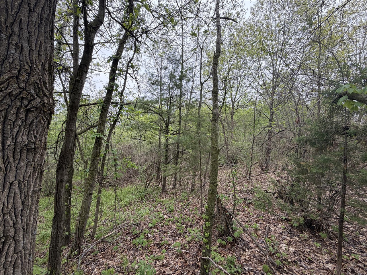 main property photo 13