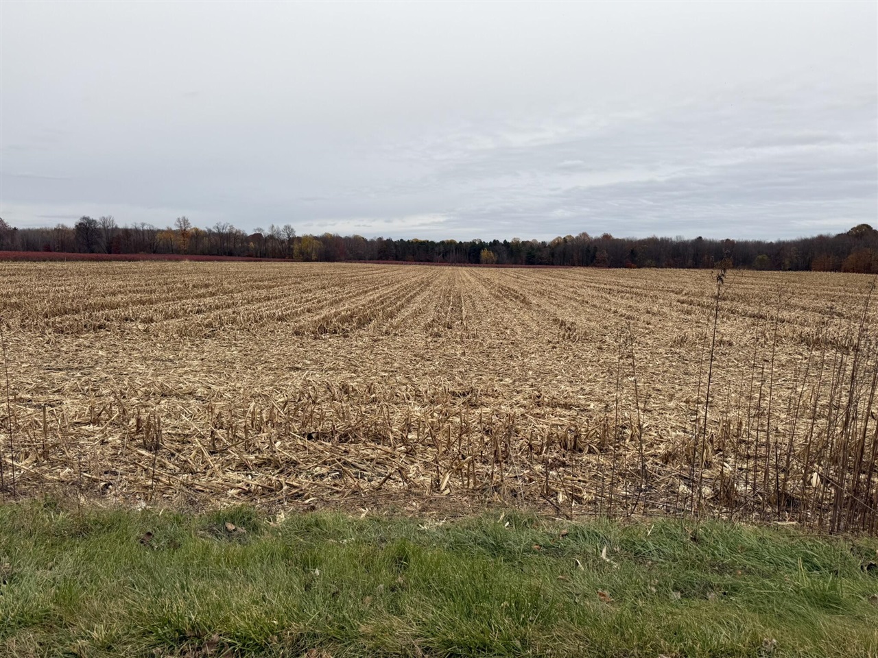 main property photo 0