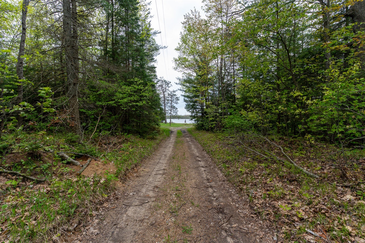 main property photo 54