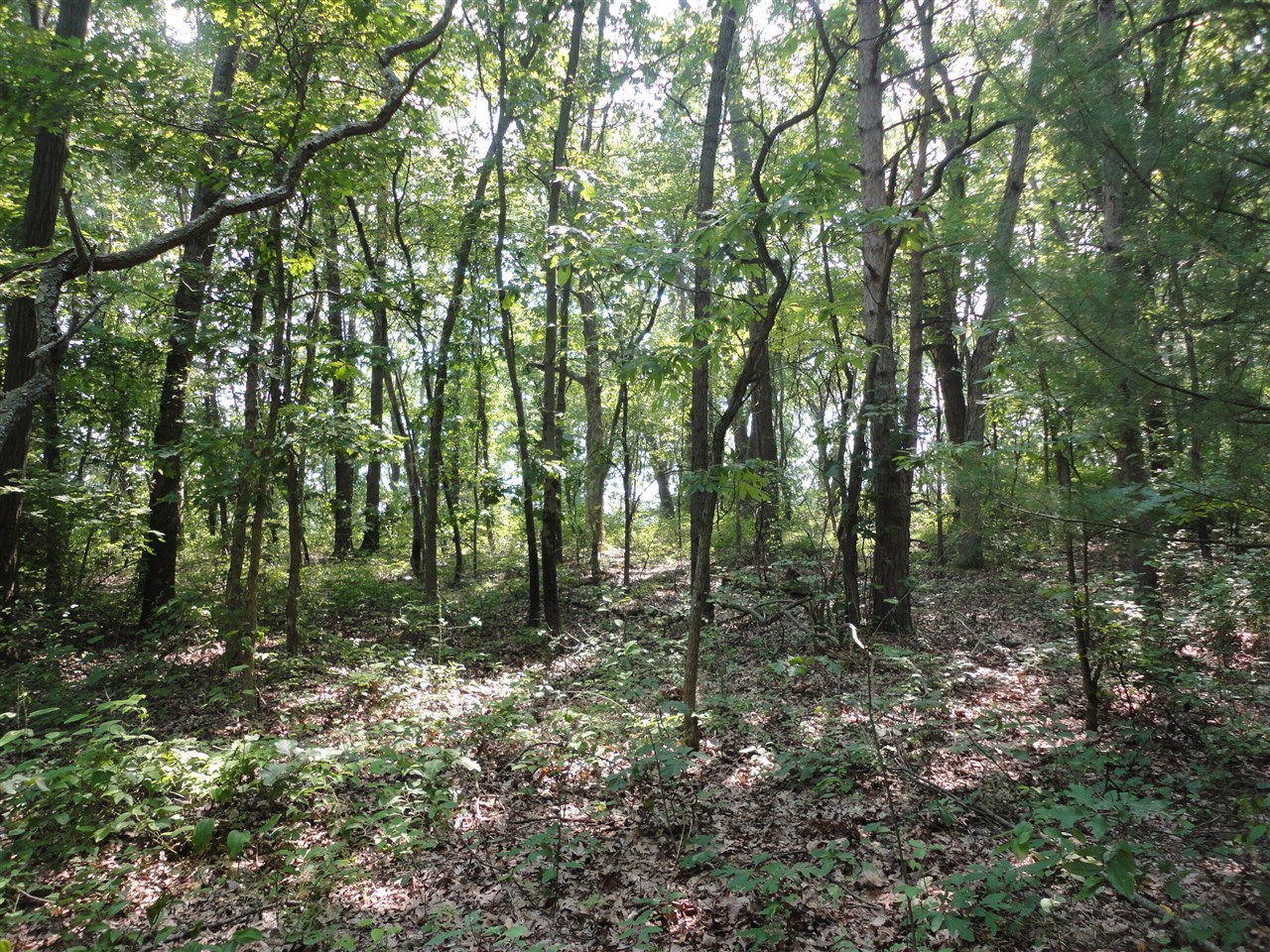 main property photo 0