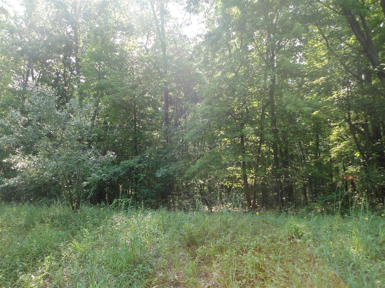 main property photo 4