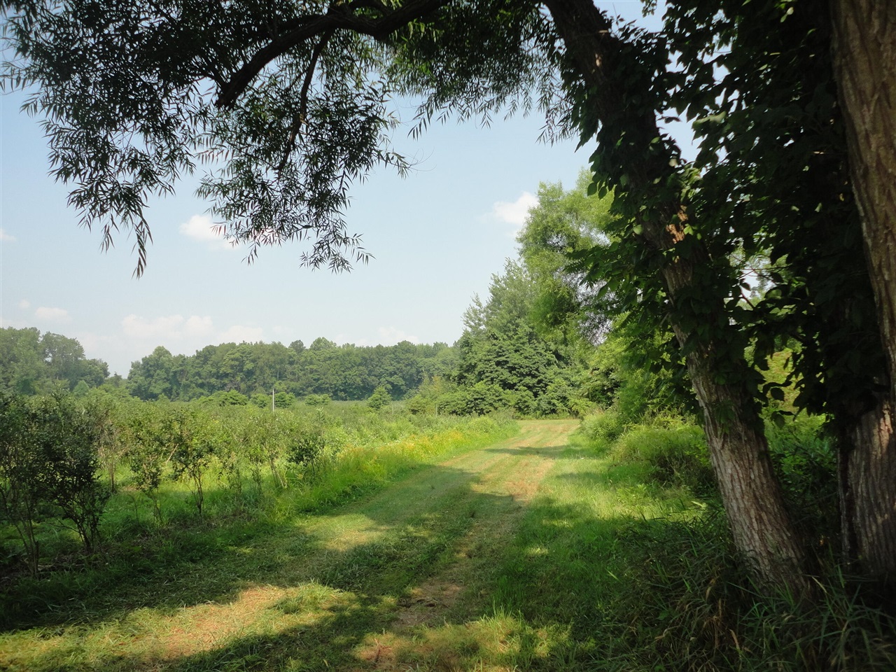 main property photo 7